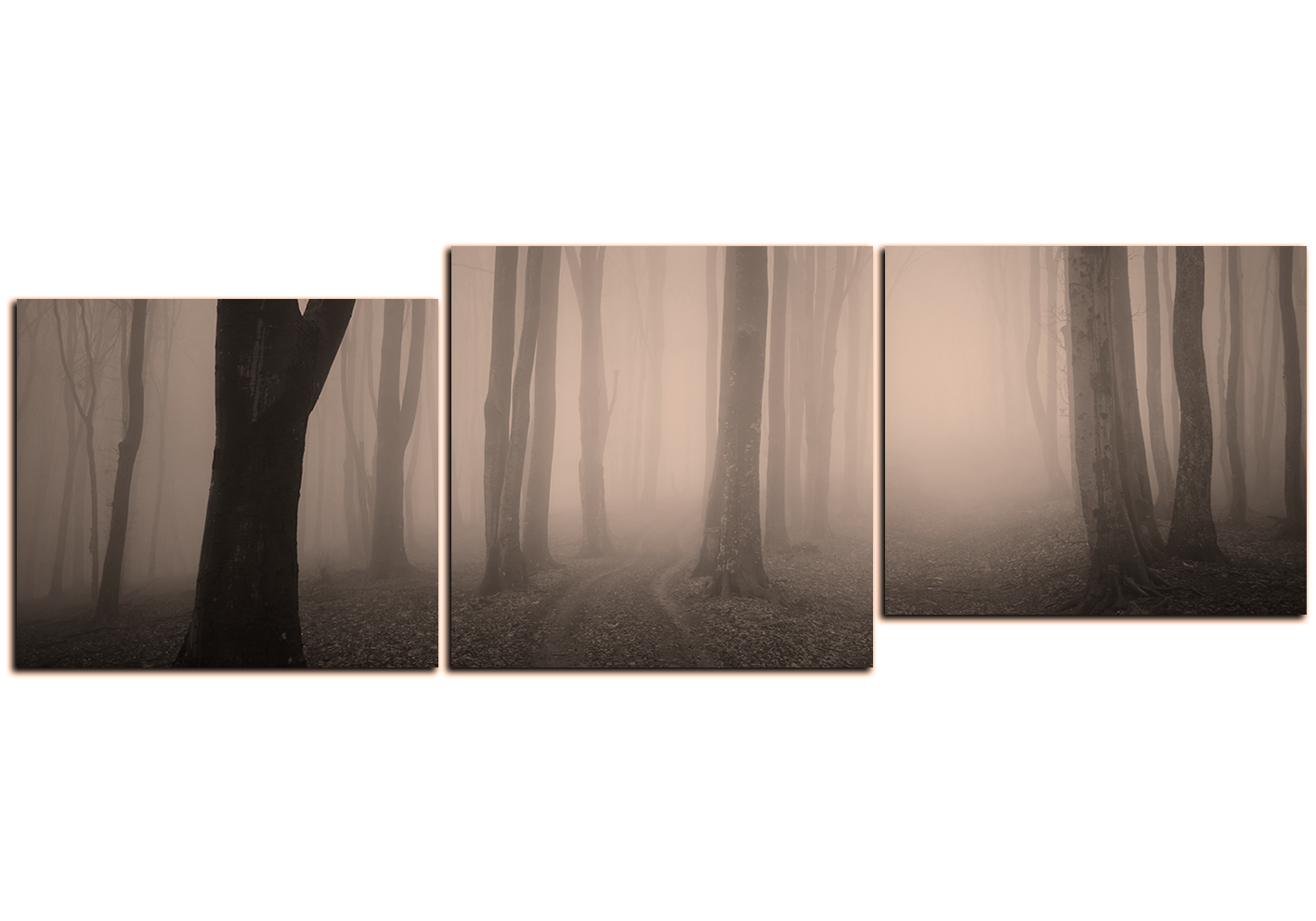 Obraz na plátně - Mlha v lese - panoráma Obraz na plátně - Mlha v lese - panoráma
